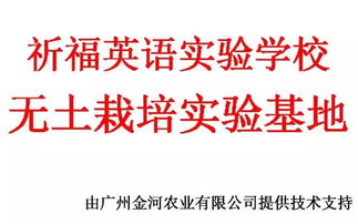 校企攜手，共繪軟件技術(shù)教育新篇章